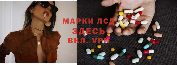 индика Баксан