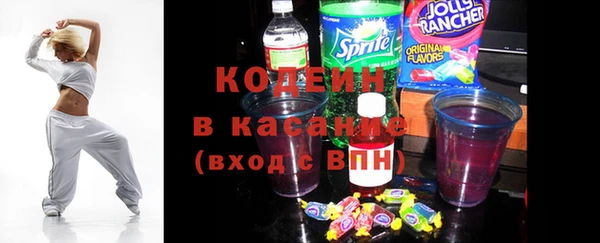индика Баксан