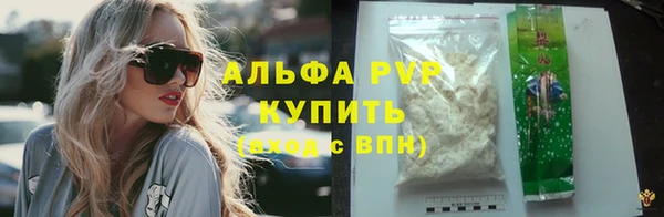 индика Баксан