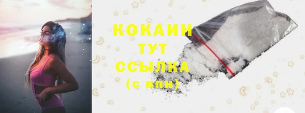 индика Баксан