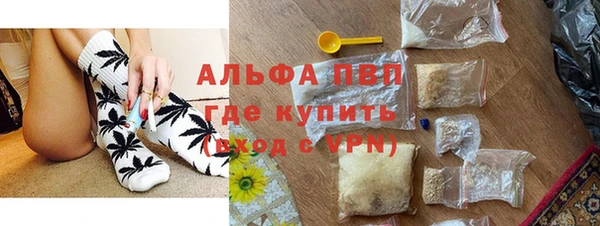 индика Баксан