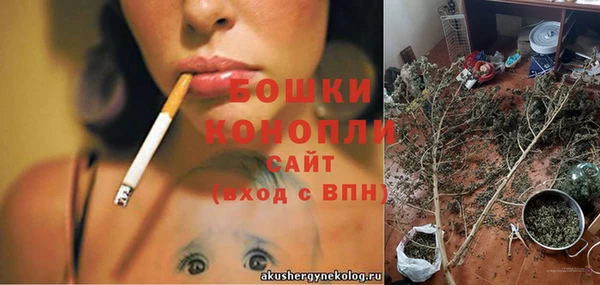 индика Баксан