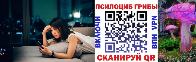 Галлюциногенные грибы MAGIC MUSHROOMS купить закладку Борзя